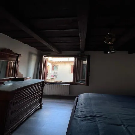 Apartment Monkey House